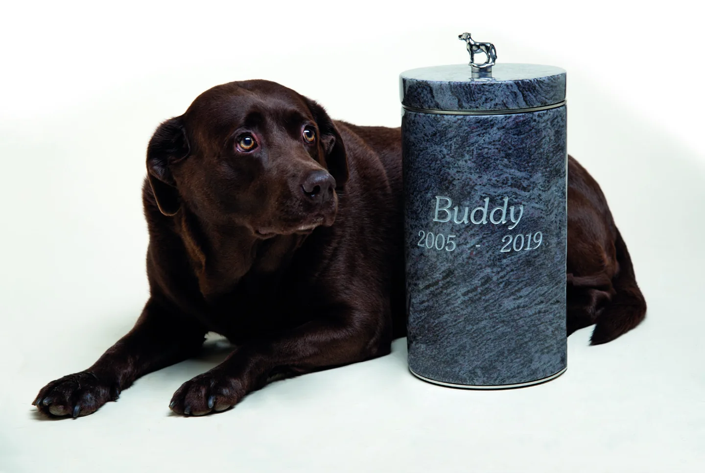 Bye-Buddy